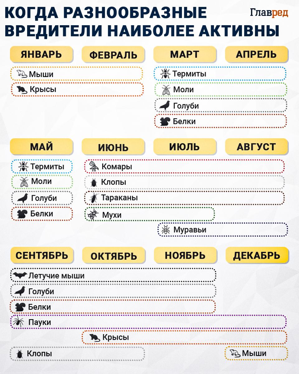 Aktivita škodcov, infografika o škodcoch