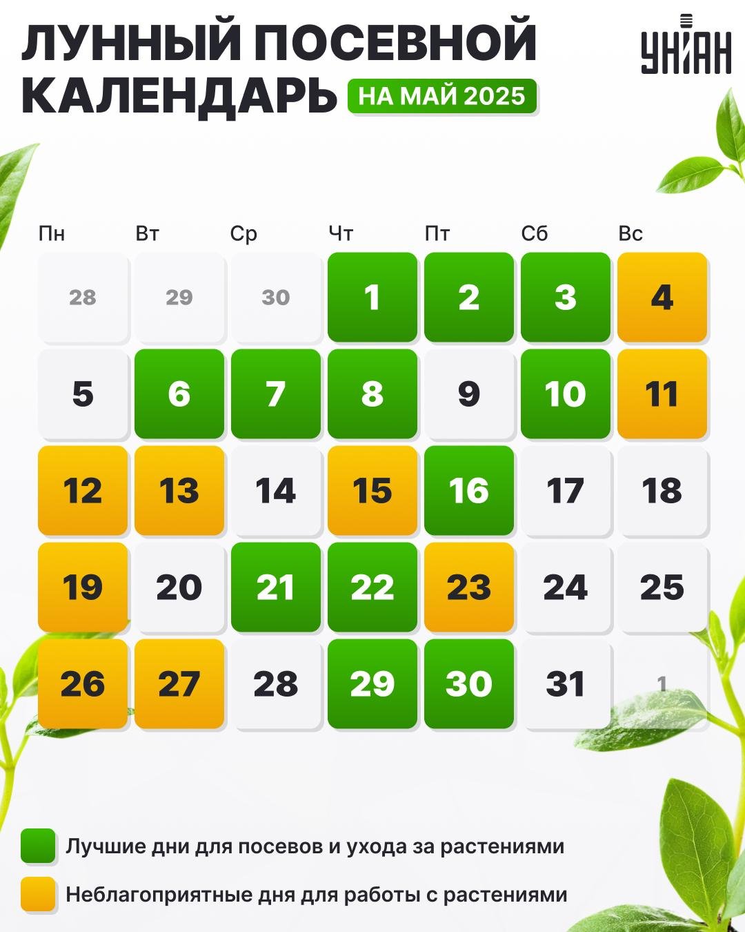 Kalendár sejby na máj 2025 - tabuľka / obrázok My
