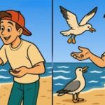 Kde sú 3 rozdiely medzi chlapcami: len bystrí géniovia uhádnu