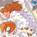 Ťažký IQ test: nájdite včelu v spálni dievčat s mačkami