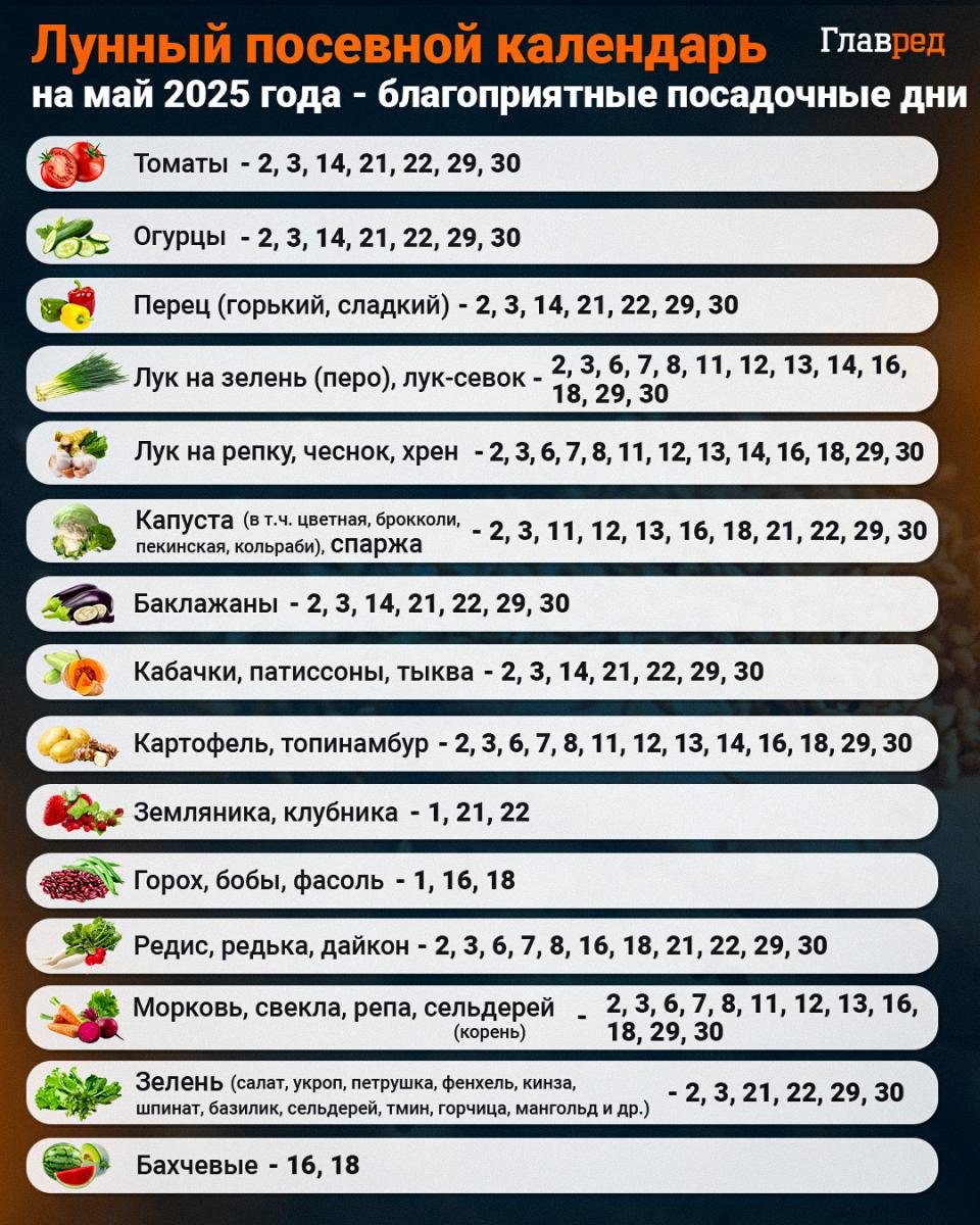 Zber v lete: Ktoré rýchlo rastúce plody možno vysádzať v máji