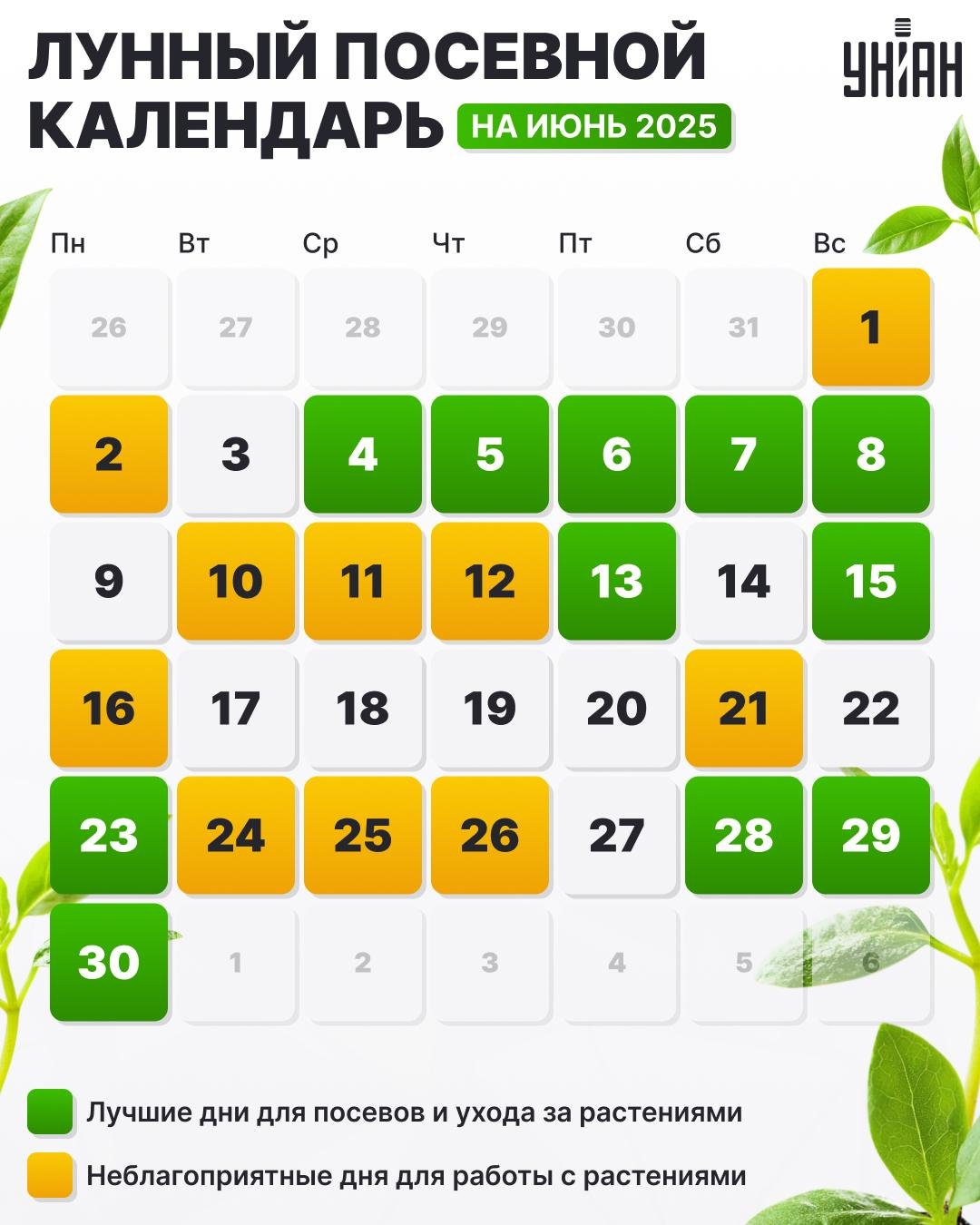 Kalendár sejby na jún 2025 tabuľka / obrázok My