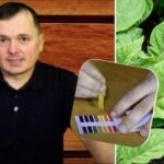 Ako doma otestovať kyslosť pôdy: päť najlepších metód