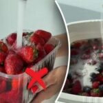 Ako správne umývať jahody: jednoduchý a účinný spôsob