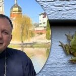 Čo robiť, keď sa na prahu objaví žaba: kňaz prekvapil
