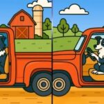 Hádanka, ktorá zaujme každého: kde sú 3 rozdiely medzi psami