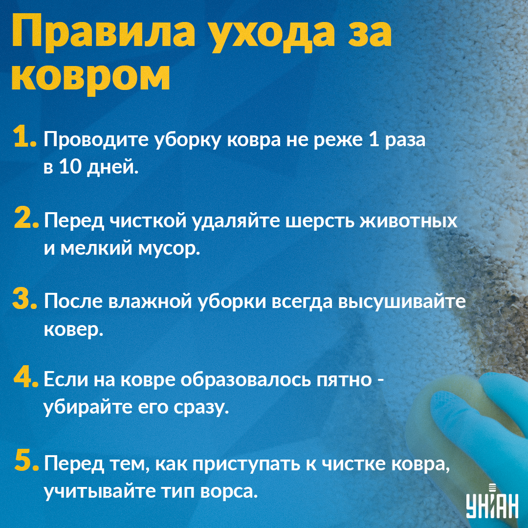 Ako rýchlo vyprať koberec / Infografika My